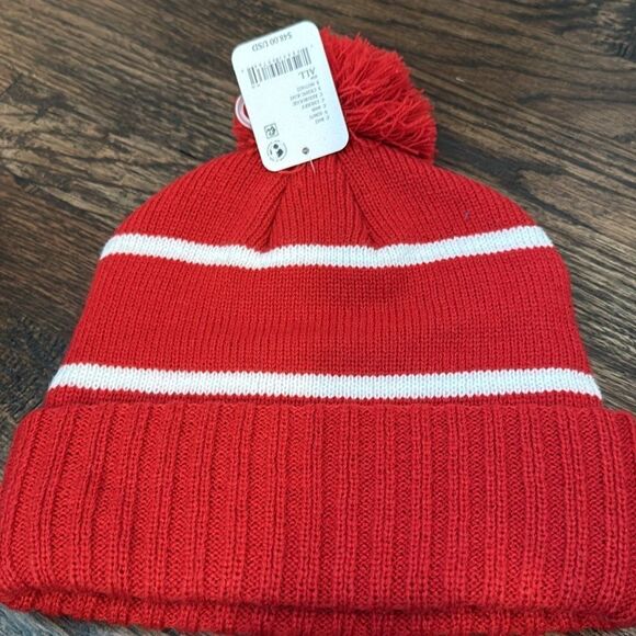 NWT Apres Ski Team Pom Beanie | Free People